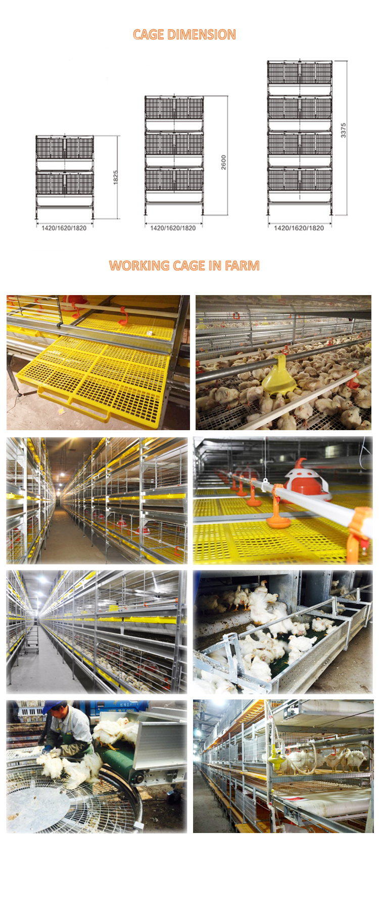 broiler cage automatic move out.jpg