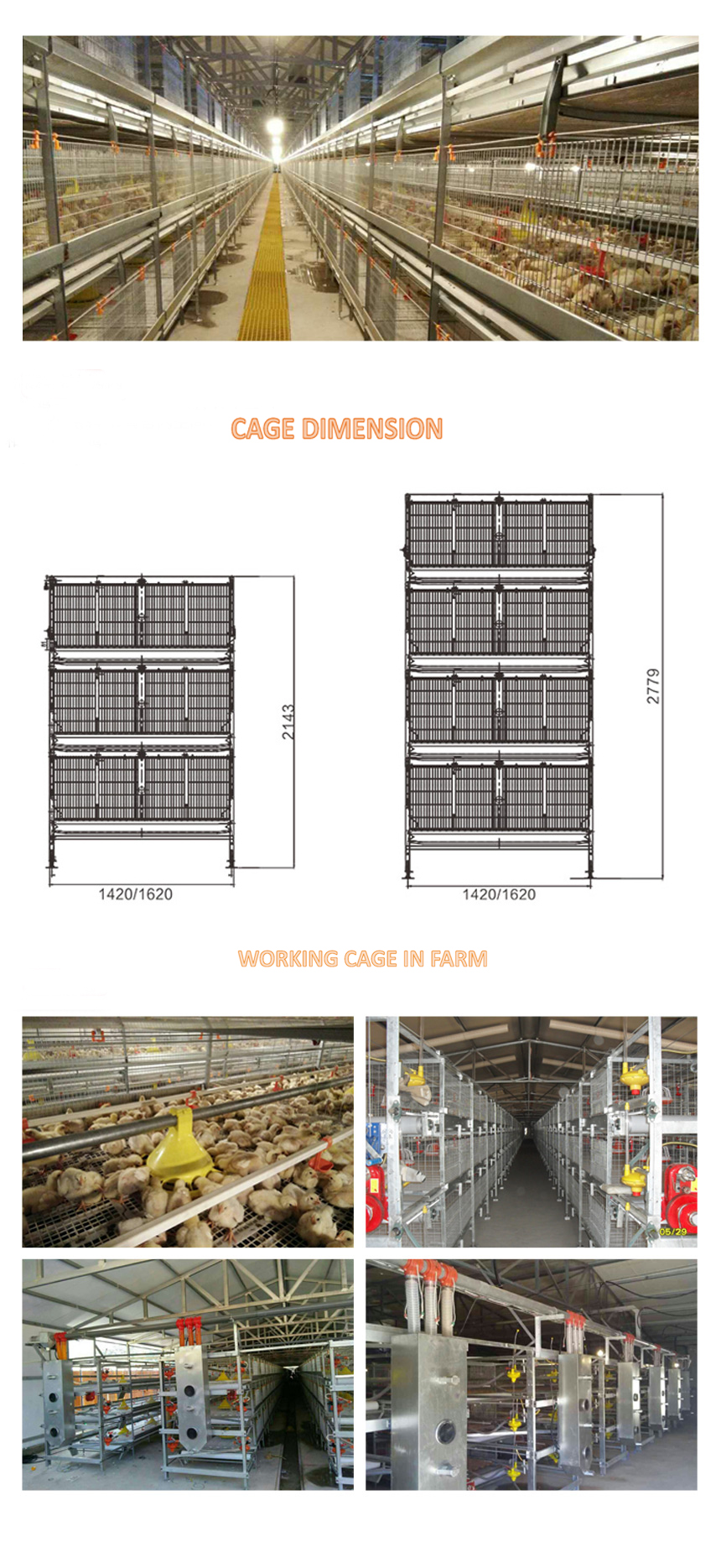broiler cage 750 manual move out feeding pan.jpg