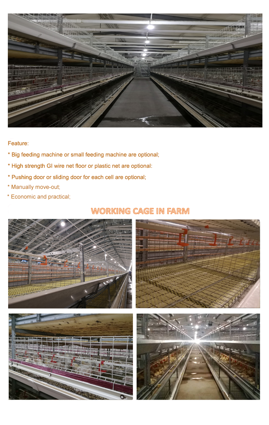 Economic broiler cage 750.jpg