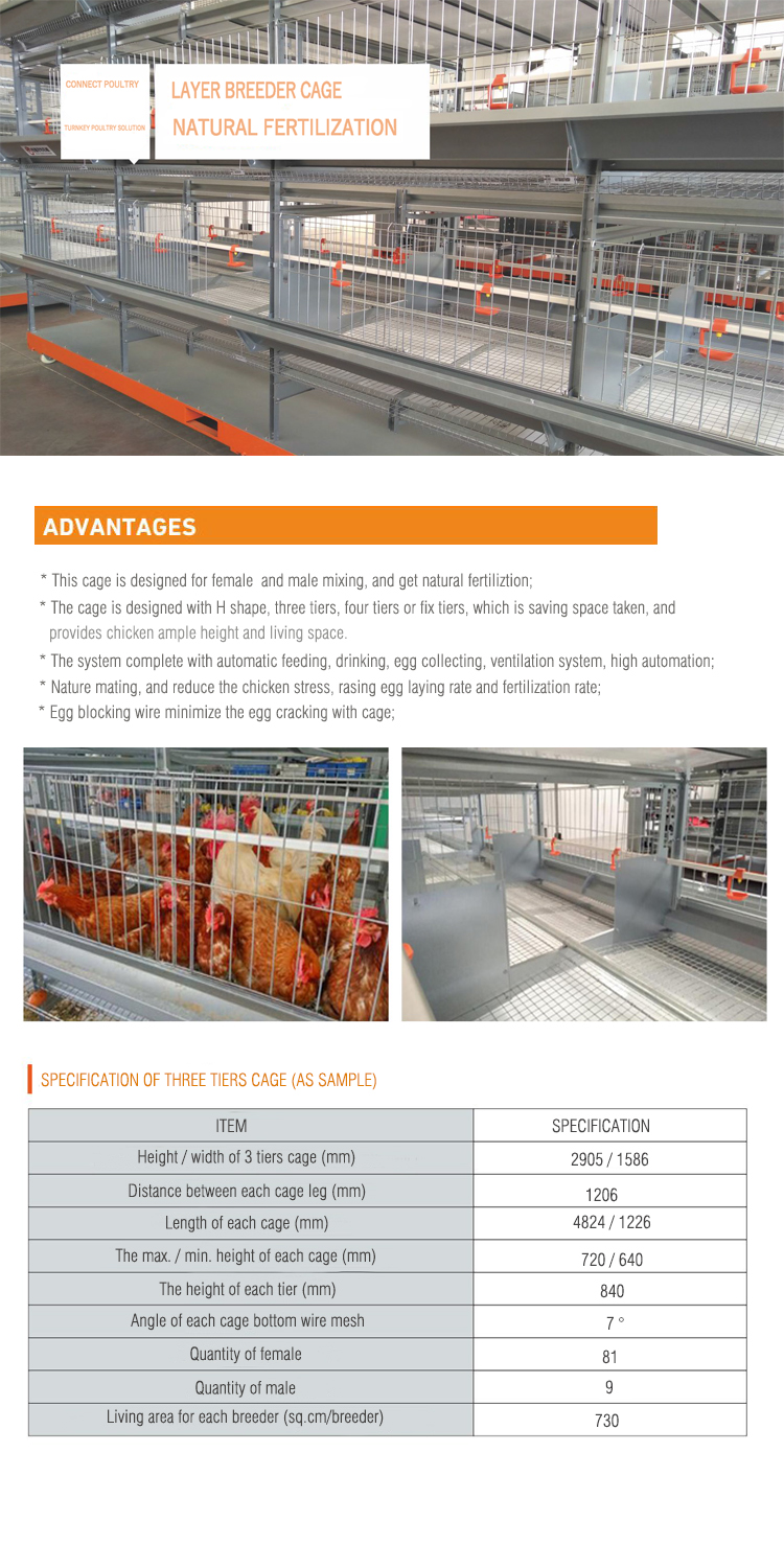 Cage breeder 750 -1.jpg