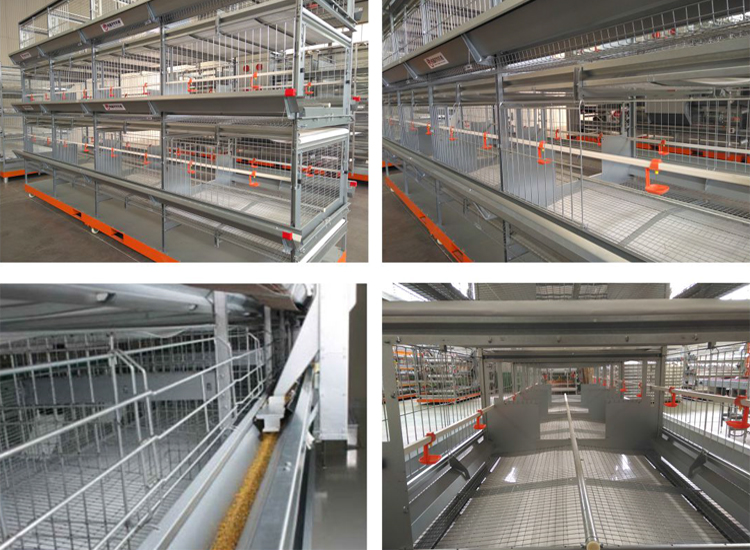 Cage breeder 750 -2.jpg